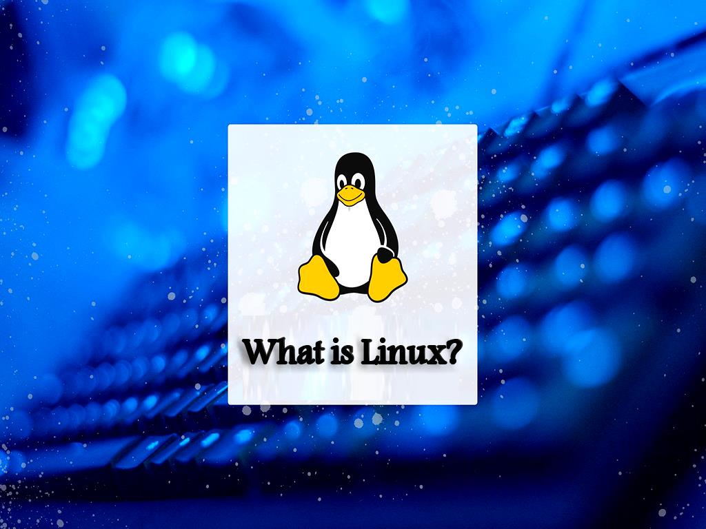 How To Hack Your Own Linux System?