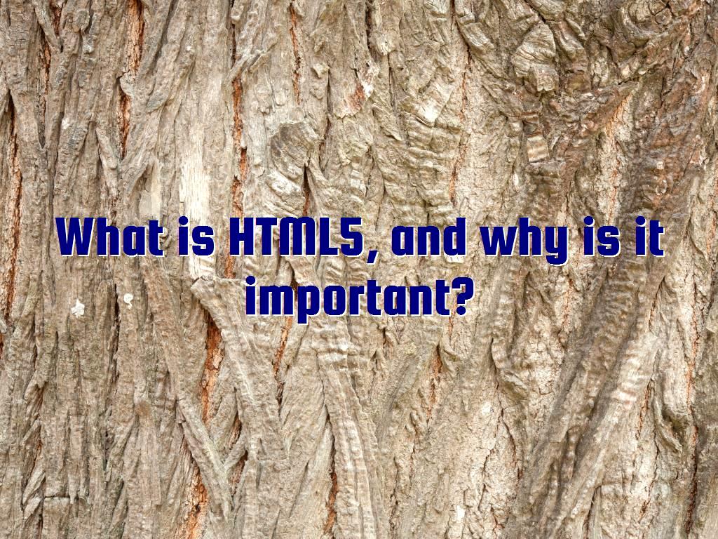 Website owners try to improve communication between users, so the importance of web design is increasing day by day, HTML5 is one of the technologies that has improved the web. and why is it important