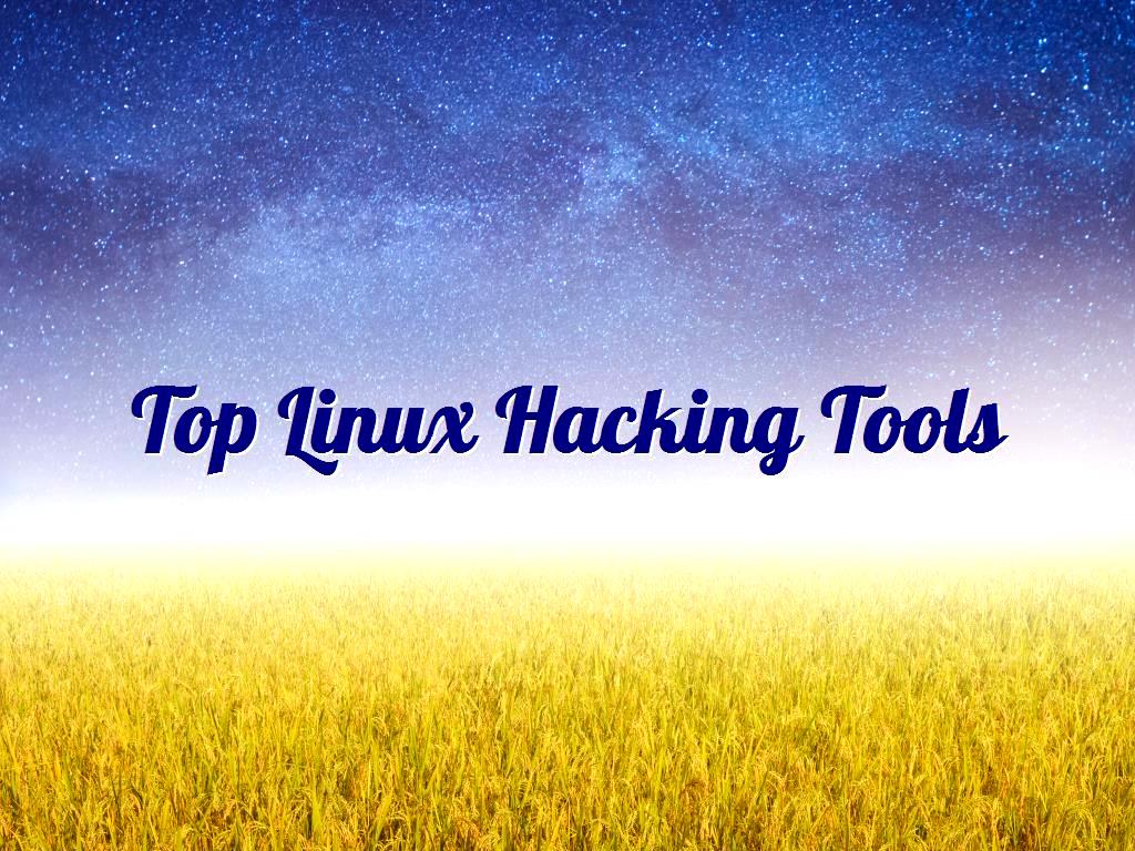 Another operating system that can be used by users is the Kali Linux operating system. It should be noted that this operating system has many capabilities of many tools that can be used, Kali Linux is an operating system that has many tools for hacking and can also be used for Penetration Test. These types of tools that are used for hacking in Kali Linux operating systems will be described in this article, and if you want to learn about them, it is recommended that you follow this article to learn about hacking tools in Kali operating system. Know Linux. Linux Hacking Tools